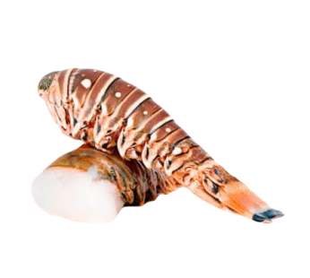 Cola de langosta 1 kg
